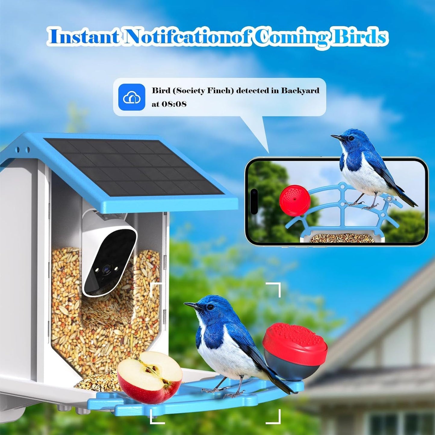 Mangeoire intelligente pour oiseaux avec caméra 4MP et énergie solaire !
