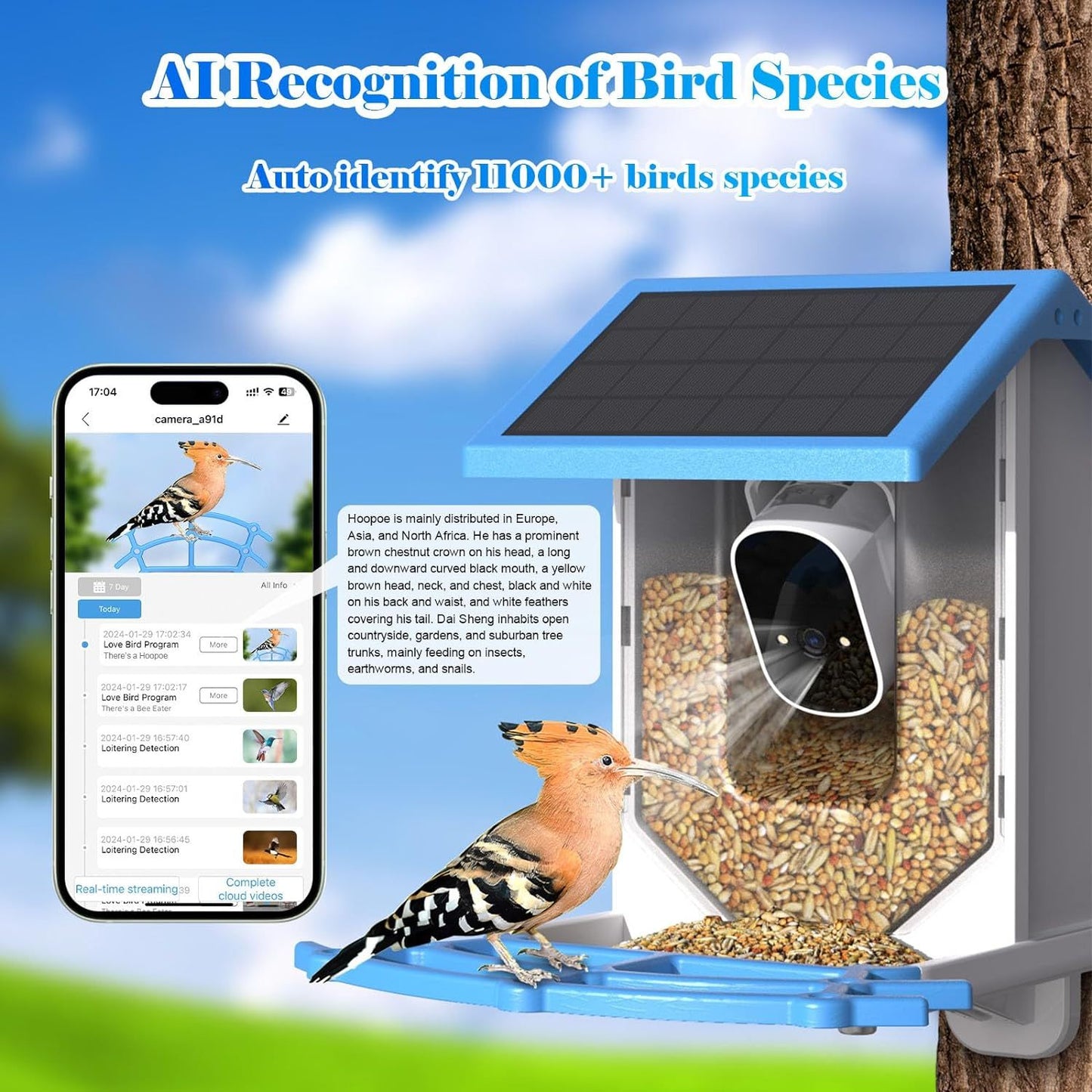 Mangeoire intelligente pour oiseaux avec caméra 4MP et énergie solaire !