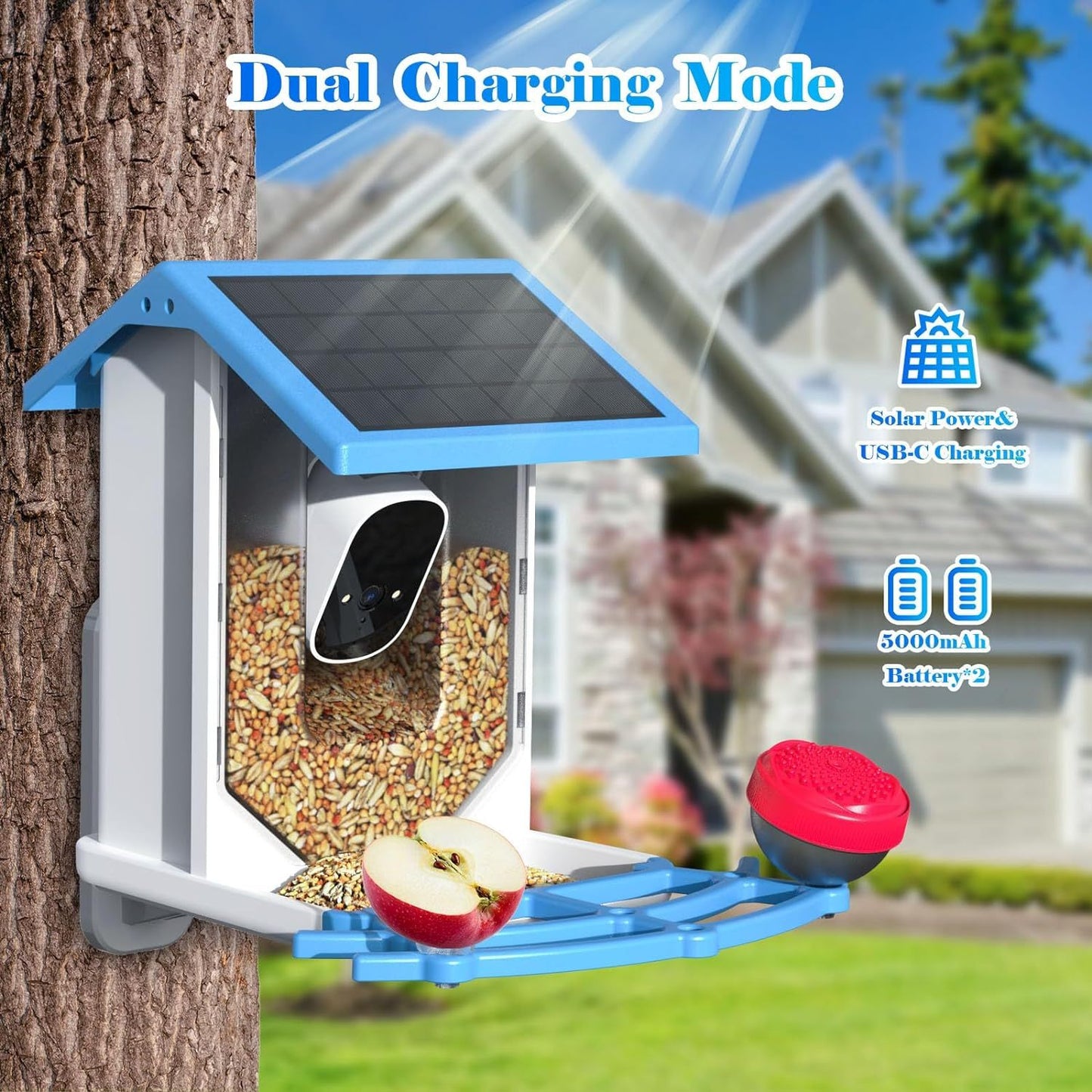 Mangeoire intelligente pour oiseaux avec caméra 4MP et énergie solaire !